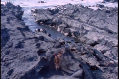 PDVD_018.jpg