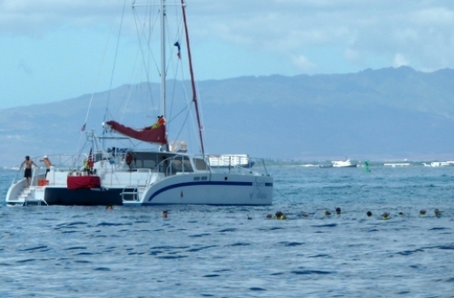 pict-マイタイ 45.jpg