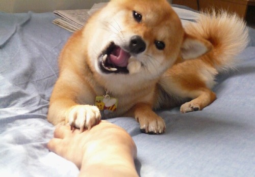 ミルク１１.JPG