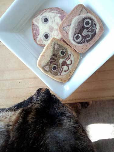 20120118猫クッキー02.jpg
