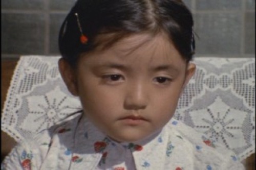 PDVD_015.jpg