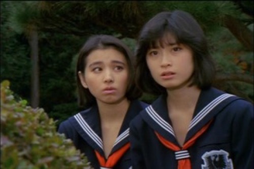 PDVD_129.jpg
