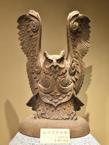 IMG_8034 (480x640).jpg