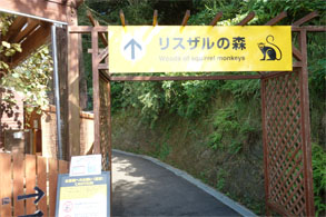 九州556.jpg