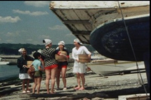 PDVD_007.jpg