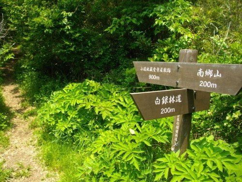 南郷山山頂 (3) (500x375).jpg