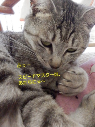 20150510_3.jpg