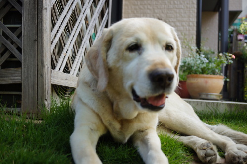 DSC02708.JPG