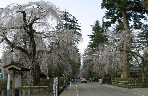 角館19.jpg