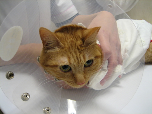 Jan. 20, 2015(2).JPG