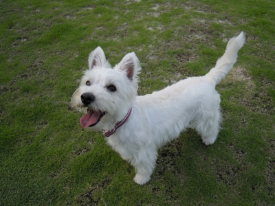 20100710.jpg