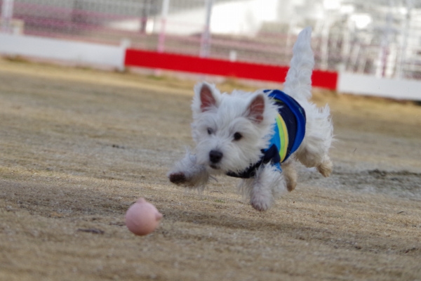 IMGP0176.jpg