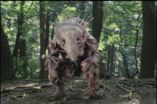 PDVD_022.jpg