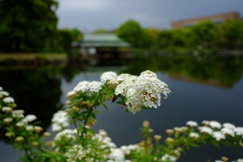 22.Apr.2017 KIYOSUMI-3.jpg