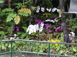 沖縄113.jpg