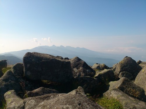 DSC_0559.JPG