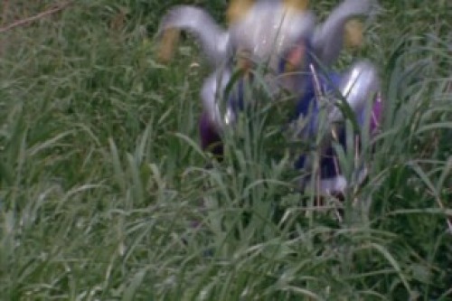 PDVD_007.jpg