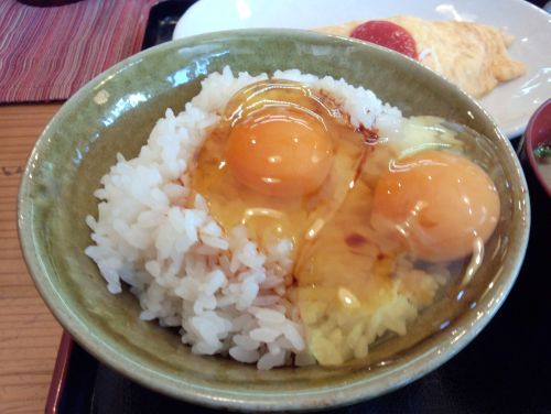 kuma_h250203_05.jpg