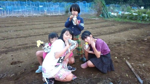 06.JPG