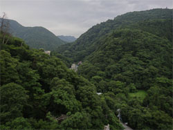 東鳳36.jpg