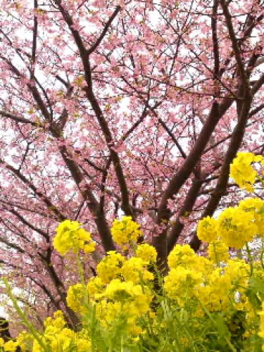 120319_1424~010001.jpg