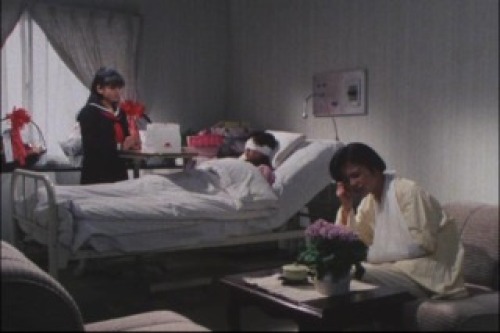 PDVD_018.jpg