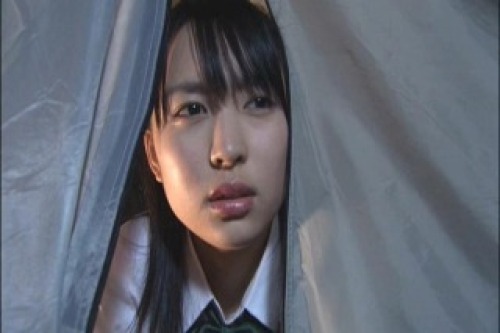 PDVD_013.jpg