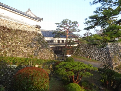 DSC00383.jpg