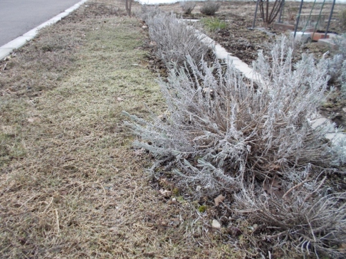 DSCN0200 (640x480).jpg