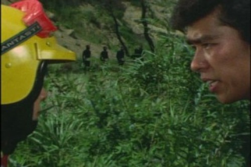 PDVD_018.jpg