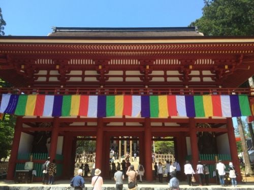 IMG_1067 (640x480).jpg