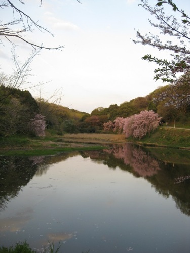 立田公園