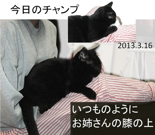 チャンプ.jpg
