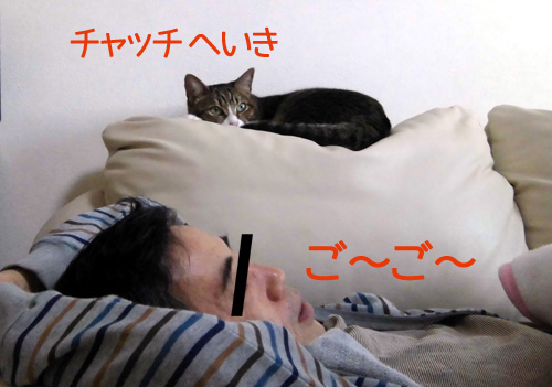 2'.jpg