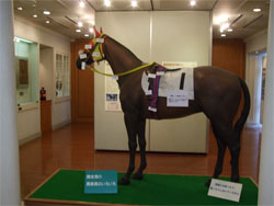 福島競馬26.jpg