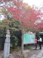 IMG_0087_R.JPG