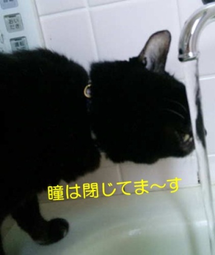 201212151_8.jpg