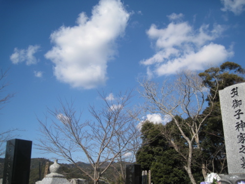 IMG_2610.JPG
