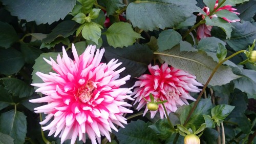 CYMERA_20151020_115426.jpg