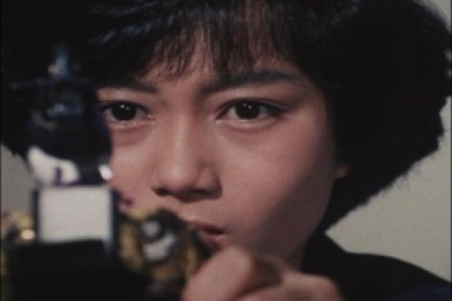 PDVD_003.jpg