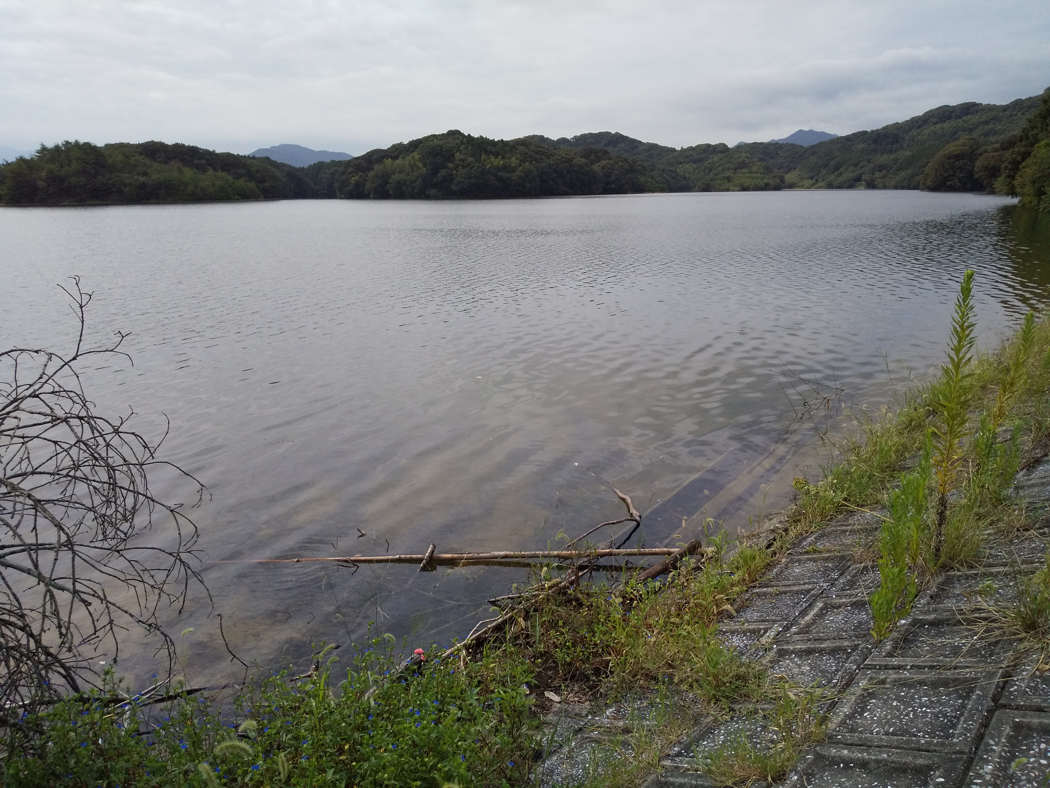久保白ダム お勧めポイント 6選 バス釣りはよかよ 福岡のピーナッツブログ 楽天ブログ
