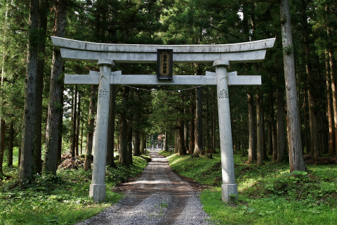 平成の鳥居