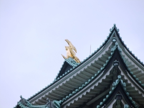 DSCF2416.JPG