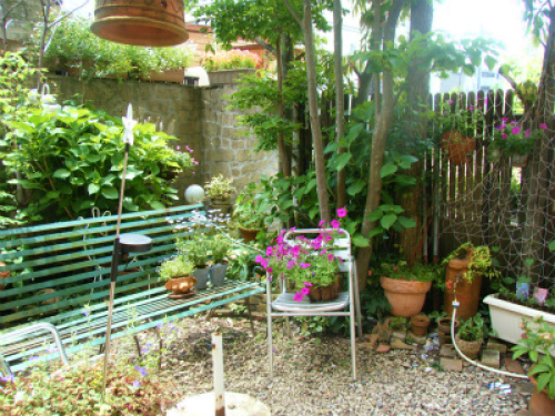 DSCF8277.jpg