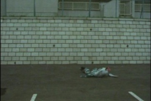 PDVD_037.jpg