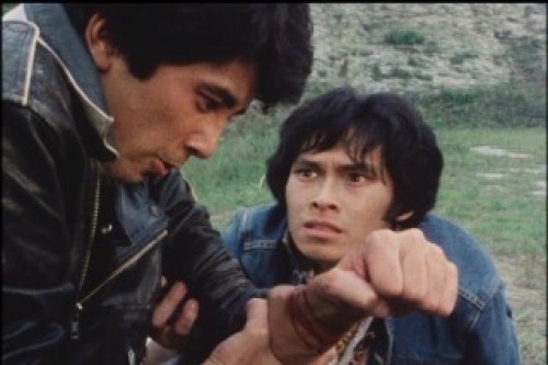 PDVD_065.jpg