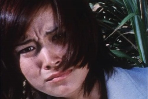PDVD_014.jpg