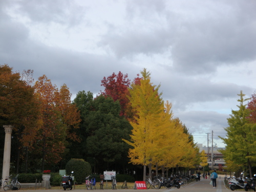 20121110-4.JPG