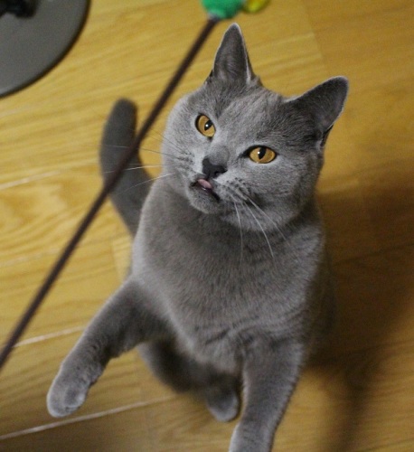 03052a.jpg