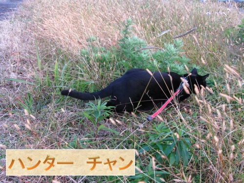 チャン28.jpg